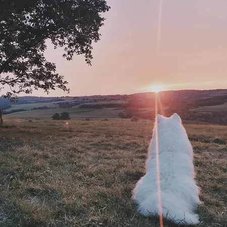 Rustic Haven * La-Roche-en-Ardenne