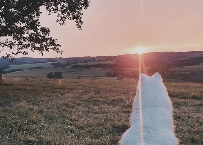 Rustic Haven * La-Roche-en-Ardenne