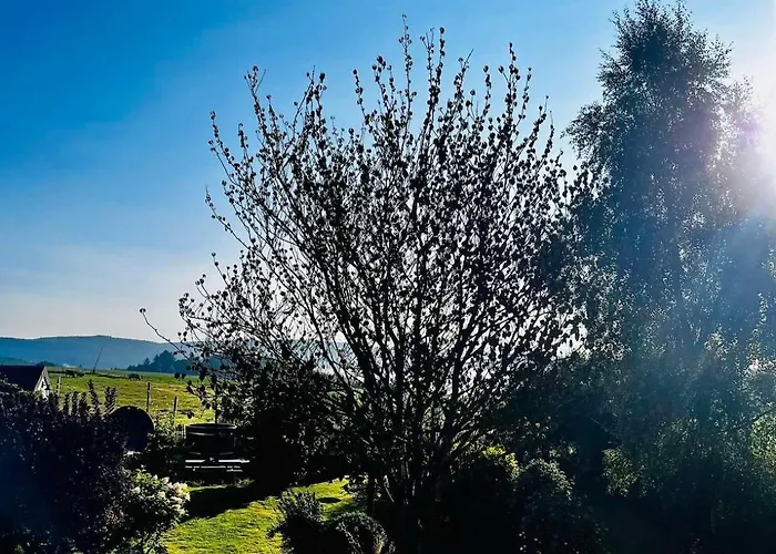 Vakantiehuis Rustic Haven